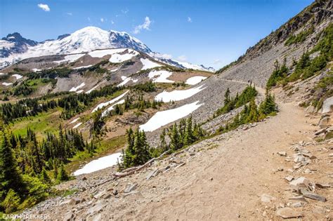 15 Epic Hikes In Mount Rainier National Park Earth Trekkers
