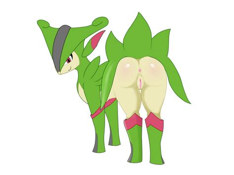 Rule 34 Anus Ass Female Female Only Feral Jetfrozen Looking Back Pokemon Pussy Solo Tagme