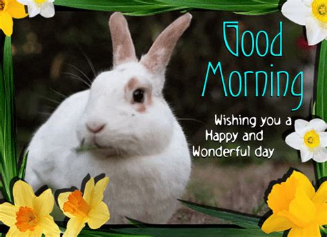 A Happy And Wonderful Morning Free Good Morning Ecards Greeting Cards