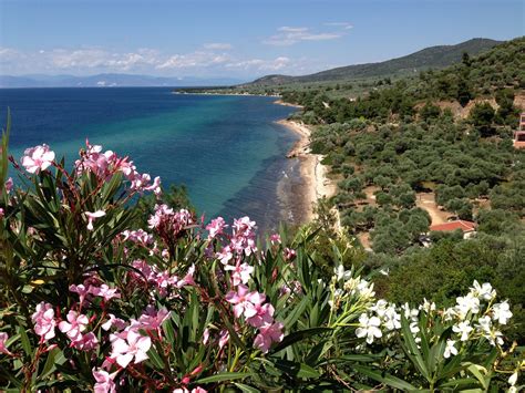 Die Grüne Insel Thassos In Griechenland Urlaubsguruat