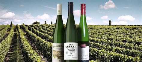 Riesling Local Wine Variety From Rhineland Palatinate Germany