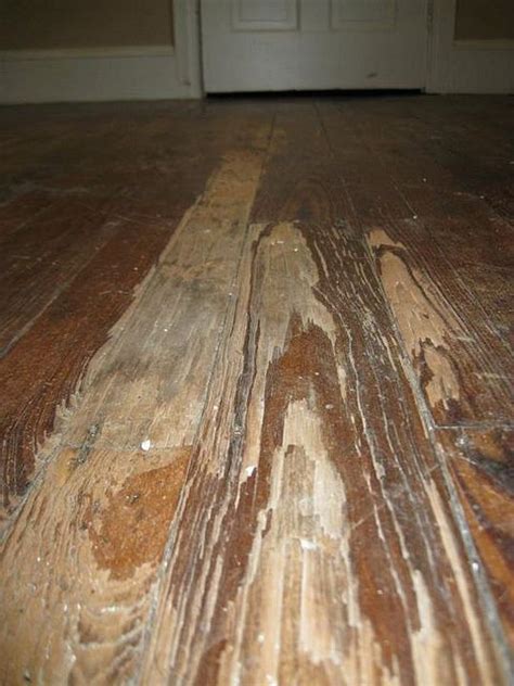 How to refinish a hardwood floor -- the complete manifesto ...
