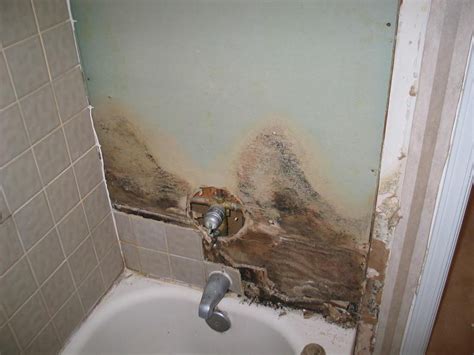 How to clean moldy shower grout the easy way | best way to get rid of mouldy shower or bathtub caulk. Damp Tech | Health Risks