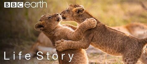 Sometimes we want to be entertained and informed. Best Nature Documentaries on Netflix in 2019 - What's on ...