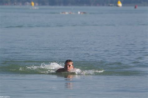 Balaton átúszás is one of the largest open water swimming competitions in the world and one of the world's top 100 open water swims. Olimpiai bajnok lett az első a Balaton-átúszáson