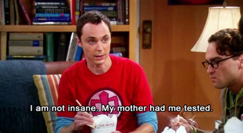 Insane Lol Mother Sheldon Sheldon Cooper Subtitles Image 47171