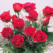 Several of the most popular apps are also based on the «freemium» business model of allowing users free you may have multiple photos, create a favorites list, send a virtual flower, block a member from communicating with you, use our advanced. Send Virtual Flowers, eCards and Virtual Bouquets Free at ...