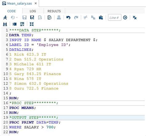 SAS Program Structure PadaKuu Com