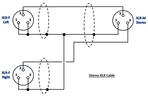Xlr Y Cable Wiring Diagram Wiring Diagram And Schematic