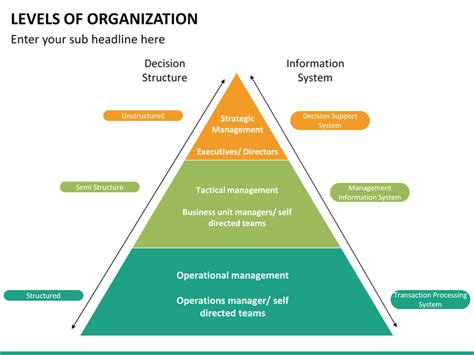 Levels Of Organization Powerpoint Template Sketchbubble