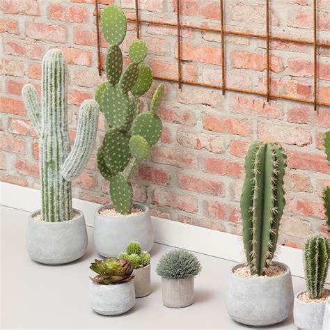 Mais comment bien s'occuper d'un cactus d'intérieur ? Cactée - Cactus artificiel en pot ciment 67cm Pomax - Drawer