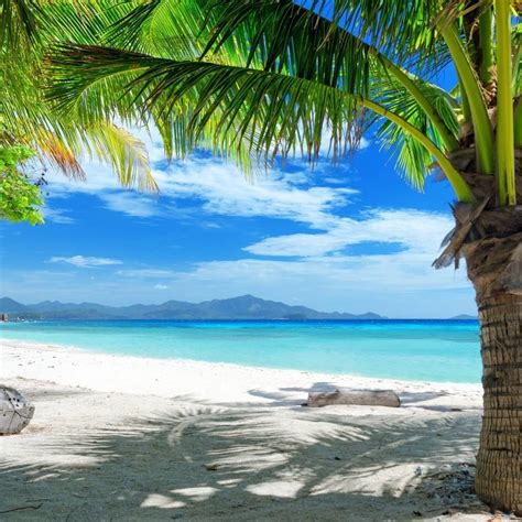 10 Best Tropical Beaches Desktop Wallpaper Full Hd 1920×1080 For Pc