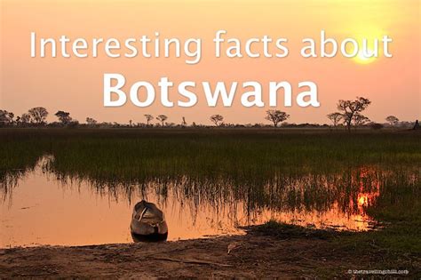 Discover Unique And Interesting Facts About Botswana And Learn About