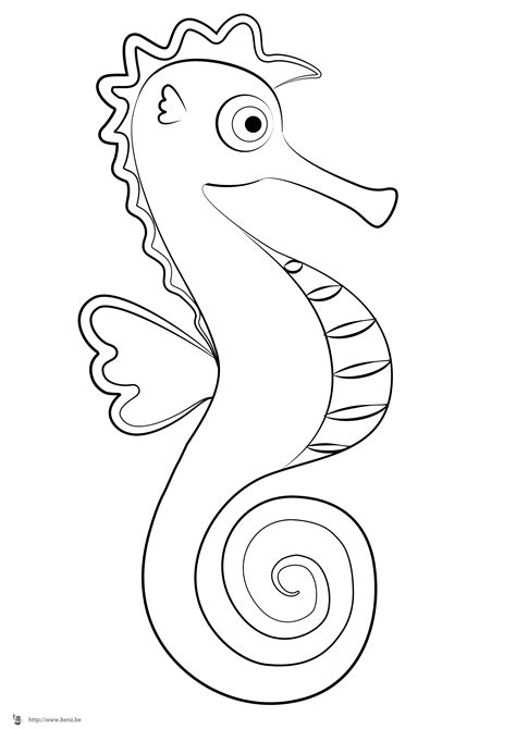 Little Seahorse Coloring Page Free Printable Coloring