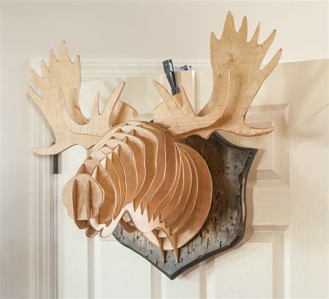 Plywood Moose Trophy Head : DIY