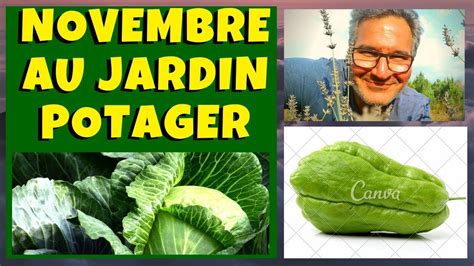 Novembre au jardin potager - Que planter, semer et bouturer ? - YouTube
