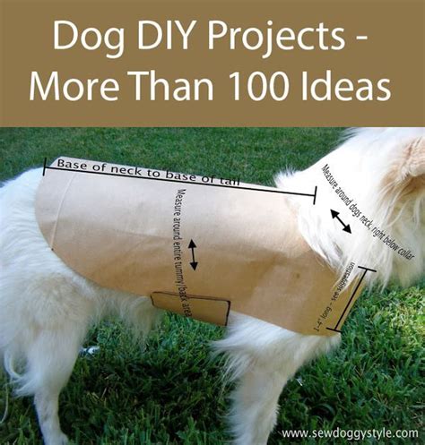 The Ultimate Guide To Dog Diy Projects Part 10