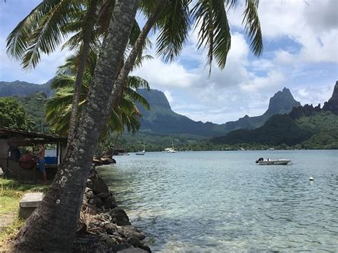 Cooks Bay Moorea 2021 All You Need To Know Before You Go With
