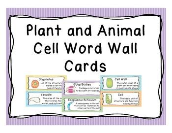 For example, animal cells do not have a cell wall or chloroplasts but plant cells do. Plant and Animal Cell Word Wall by The Teaching Chick | TpT