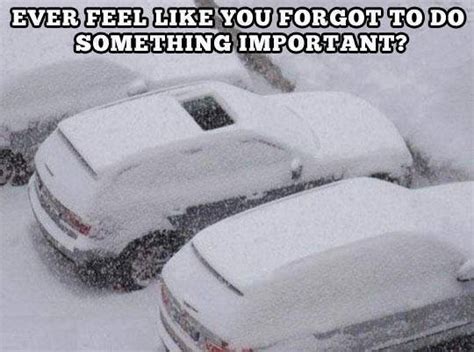 50 Funniest Winter Memes Of All Time Gallery Ebaums World