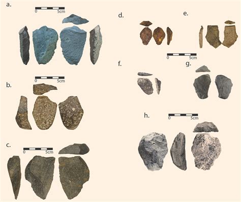 Researchers Find 26 Million Year Old Oldowan Tools In Ethiopia