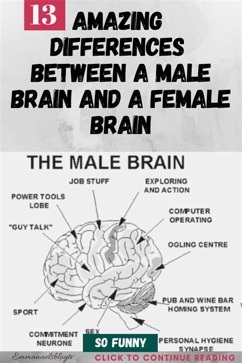 13 Amazing Differences Between A Male Brain And A Female Brain How To