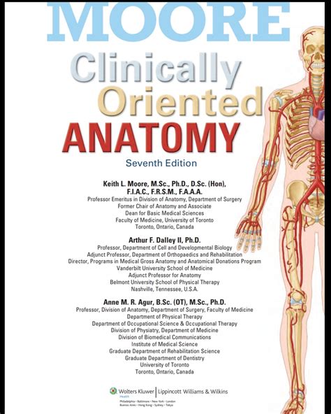 Download Moores Clinical Oriented Anatomy 7th Edition Pdf