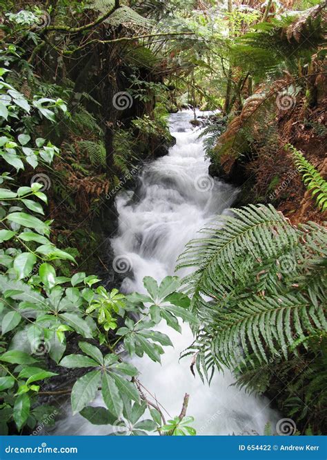 Waterfall In The Wilderness Stock Photography Image 654422