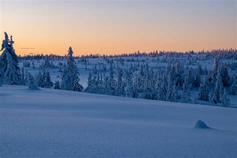 Magical Winter Landscape In Hedmark County Norway Stock Photo Image