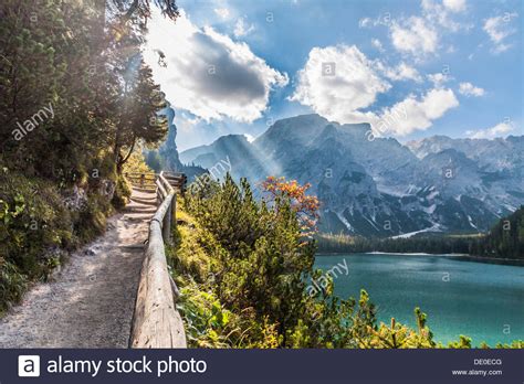 Free Download Wallpaper Forest Mountains Lake Italy Bolzano Lake
