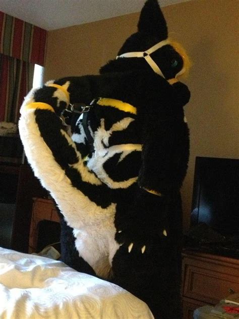 Pin By Kardon Max On Fursuit Fursuit Paws Fursuit Yiff Fursuit Furry