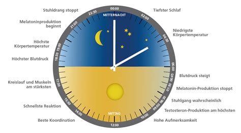 Circadian Rhythm - Zirkadiane Rhythmik der ...
