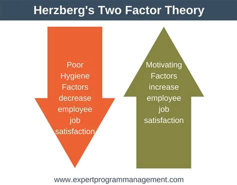 Herzberg S Motivation Theory Two Factor Theory Expert Program Management