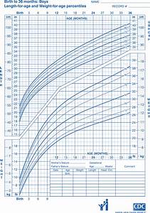Cdc Growth Chart Sample Free Download