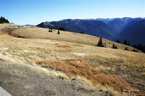 Olympic National Park Wa Usa Drkchris Flickr