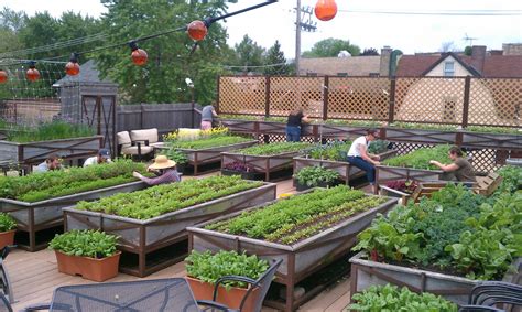 Nourishing your love for gardening may prove difficult to do in an environment that lacks…a backyard. Cool Environment Friendly Ideas for your Rooftop