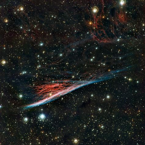 Witchs Broom Nebula Dazzles In Photo Technology And Science Space