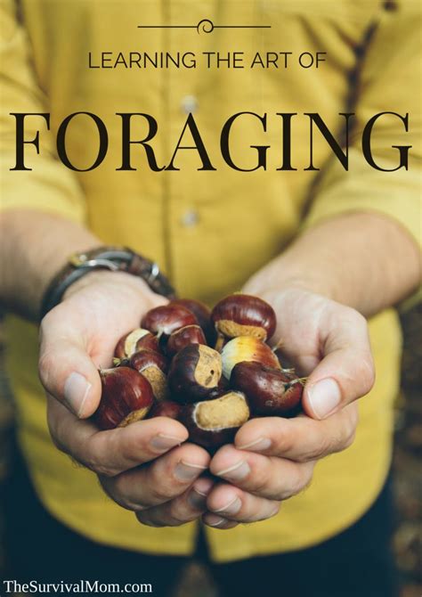 Learning The Art Of Foraging Survival Mom