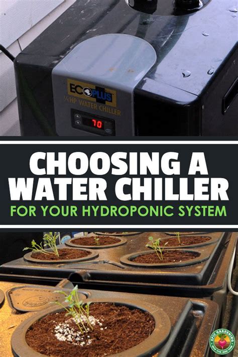 Do your hydro buckets water feel too hot? The Best Water Chillers for Hydroponics | Hydroponics ...