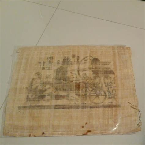 Antique Ancient Egypt Egyptians Papyrus Paper Cyperus Papyrus