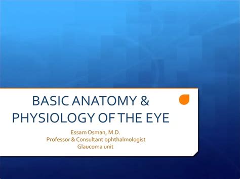 Ppt Basic Anatomy And Physiology Of The Eye Powerpoint Presentation