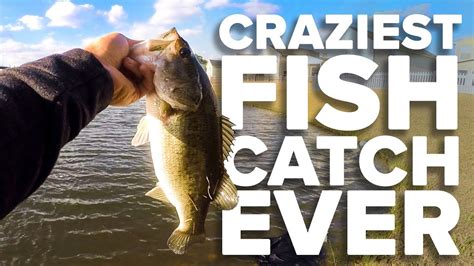 Craziest Fish Catch Ever Insane Youtube