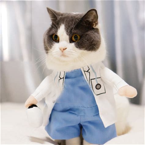 Pet Supplies Cat Clothes Cats Wear Pet Coats Trempelya