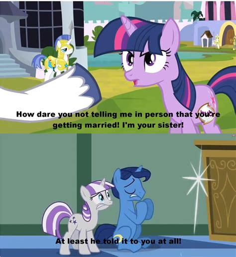 32 Funny My Little Pony Memes Clean Factory Memes