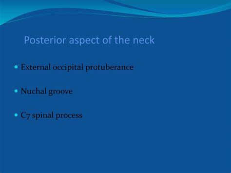 Ppt Physical Signs Of The Neck Powerpoint Presentation Free Download