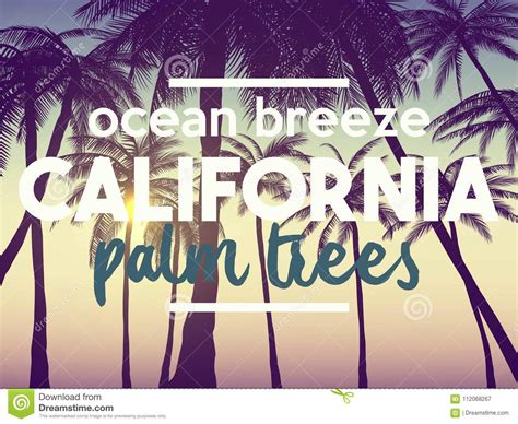 Summer California Tumblr Backgrounds Set With Palms Sky And Sunset