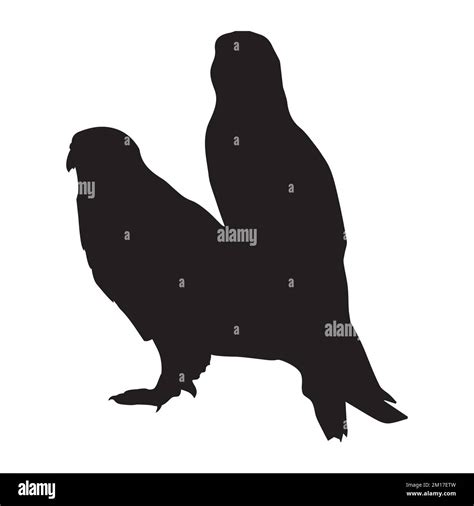 Vector Illustration Of Falcon Silhouette Art Stock Vector Image And Art