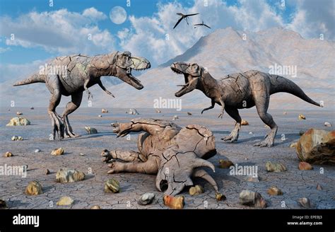 Petrified Trex And Triceratops Dinosaurs Stock Photo Alamy