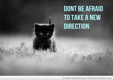 Inspirational Cat Quotes Quotesgram