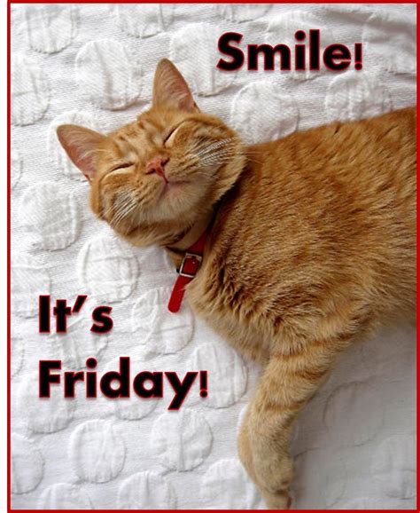 Gotta get down on friday! 14) happy friday meme! The 25+ best Its friday meme ideas on Pinterest | Happy friday meme, Happy friday meme funny and ...